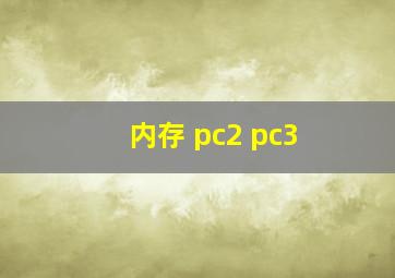 内存 pc2 pc3